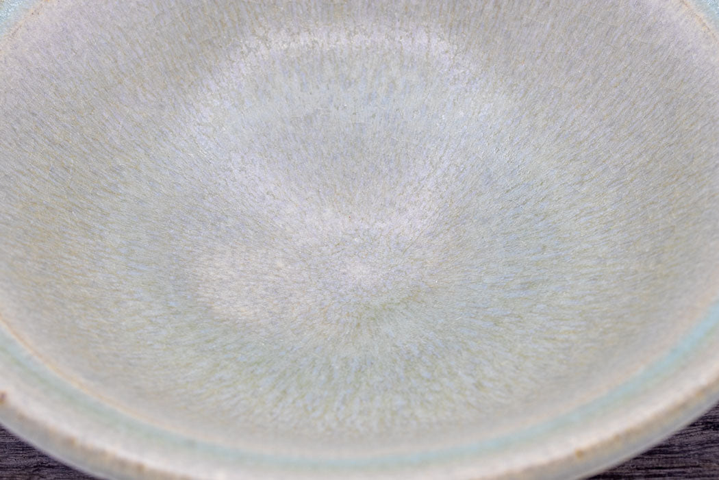 鉢 緑 小